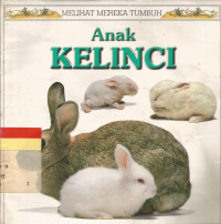Anak kelinci