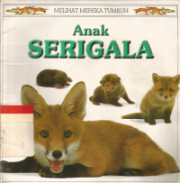 Anak serigala