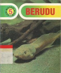 Berudu