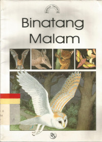Binatang malam