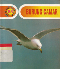Burung camar