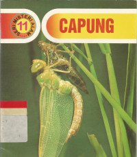 Capung