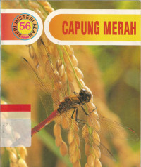 Capung merah