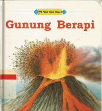 Gunung berapi