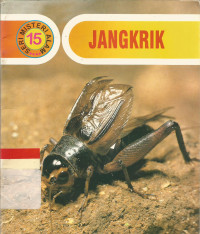 Jangkrik