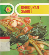 Kehidupan semut
