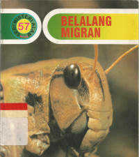 Belalang migran