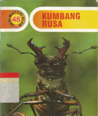 Kumbang rusa
