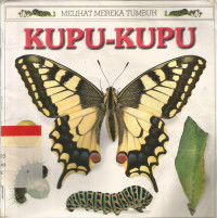 Kupu - kupu