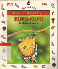 Kupu - kupu  : metamorfosis