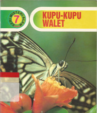 Kupu - kupu walet