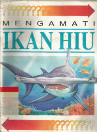 Image of Mengamati ikan hiu