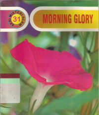 Morning glory