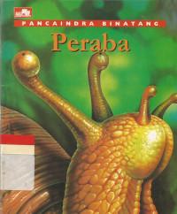 Peraba