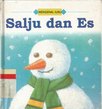 Salju dan es