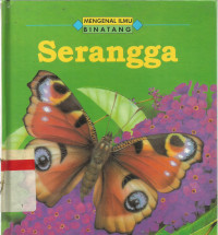 Serangga
