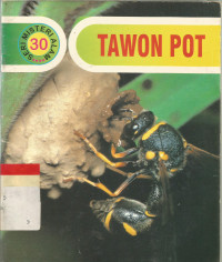 Tawon pot