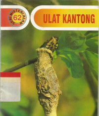 Ulat kantong